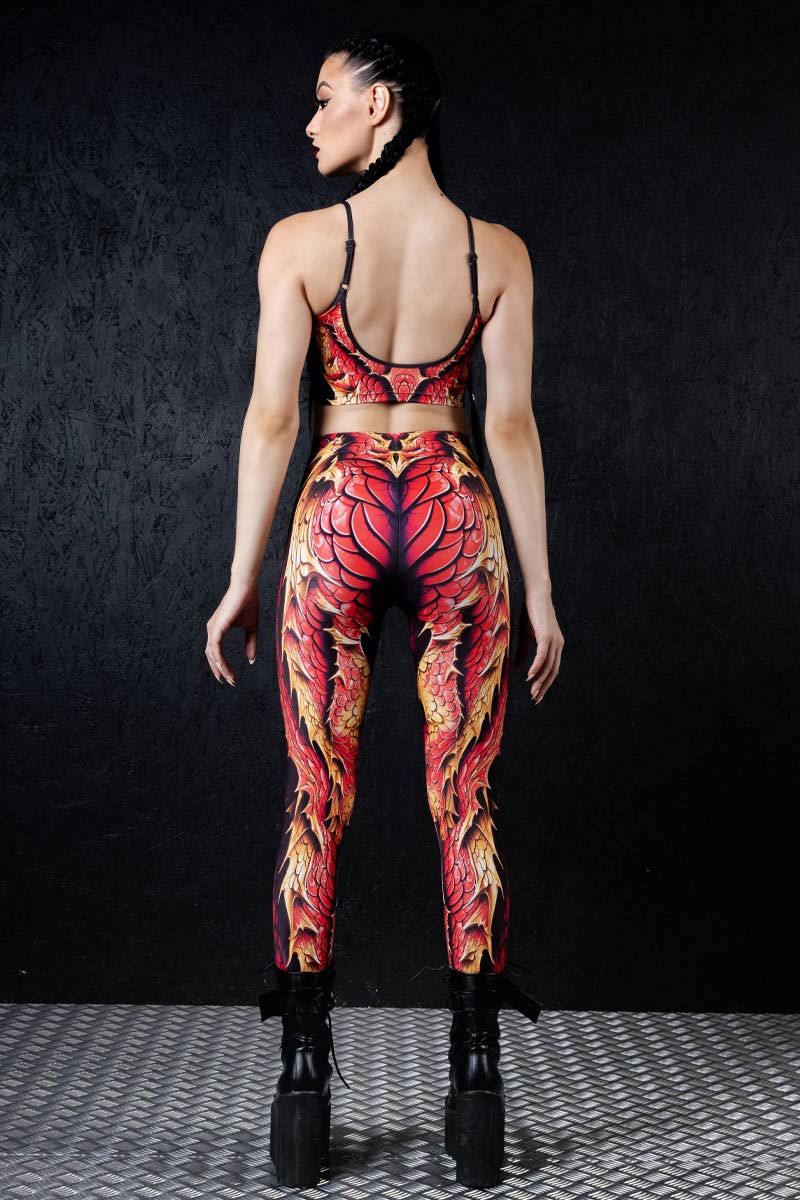 crimson-dragon-wings-back-view