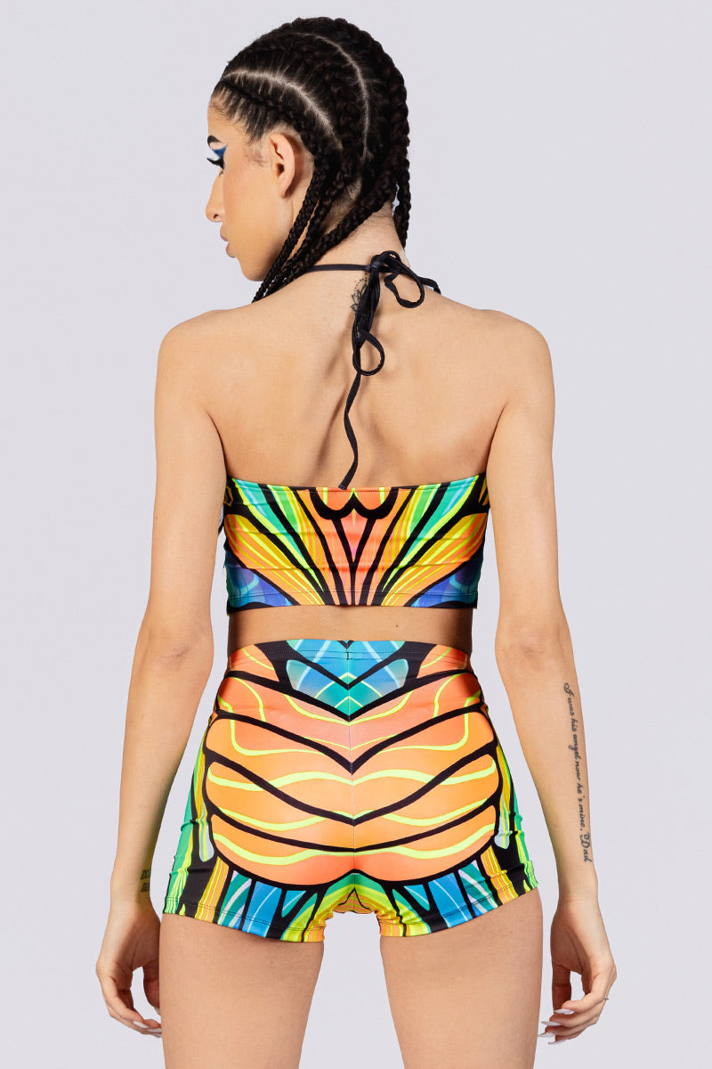 firefly-high-waisted-shorts-back-view