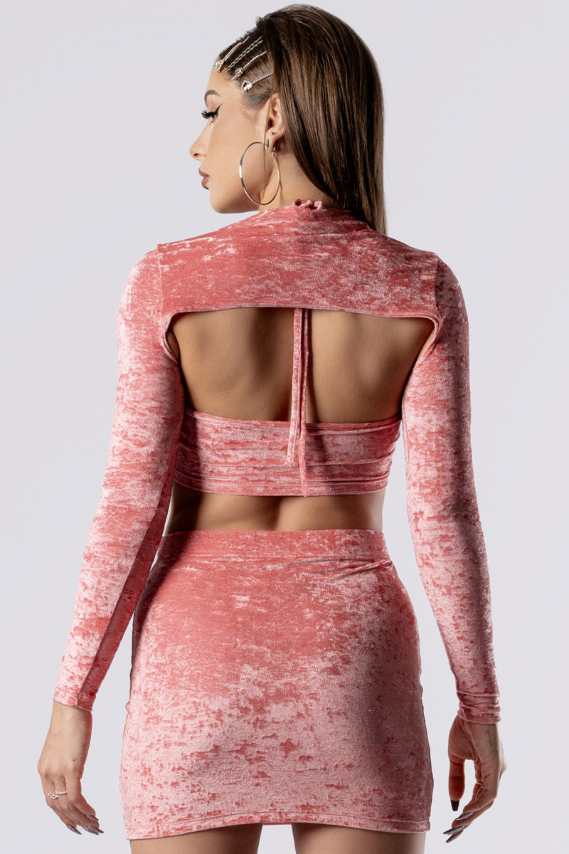 pink-champagne-long-sleeve-crop-top-pink-velvet-close-back-view