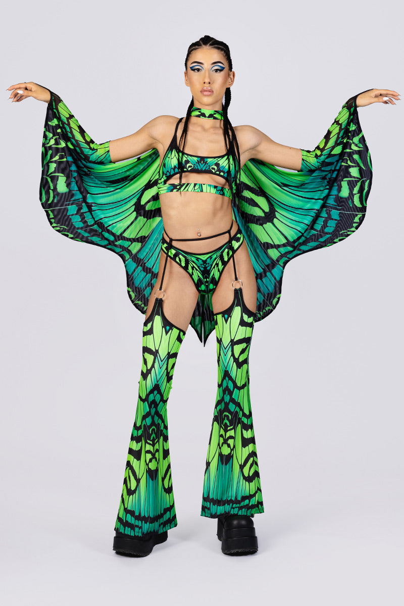poison-fairy-wings-front-view