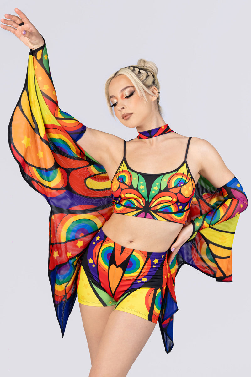 rainbow-metamorphosis-wings-close-view