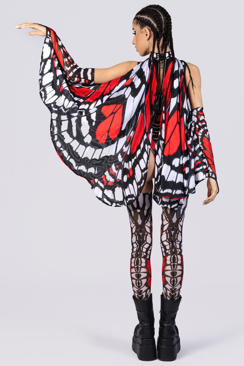 scarlet-widow-wings-back-view