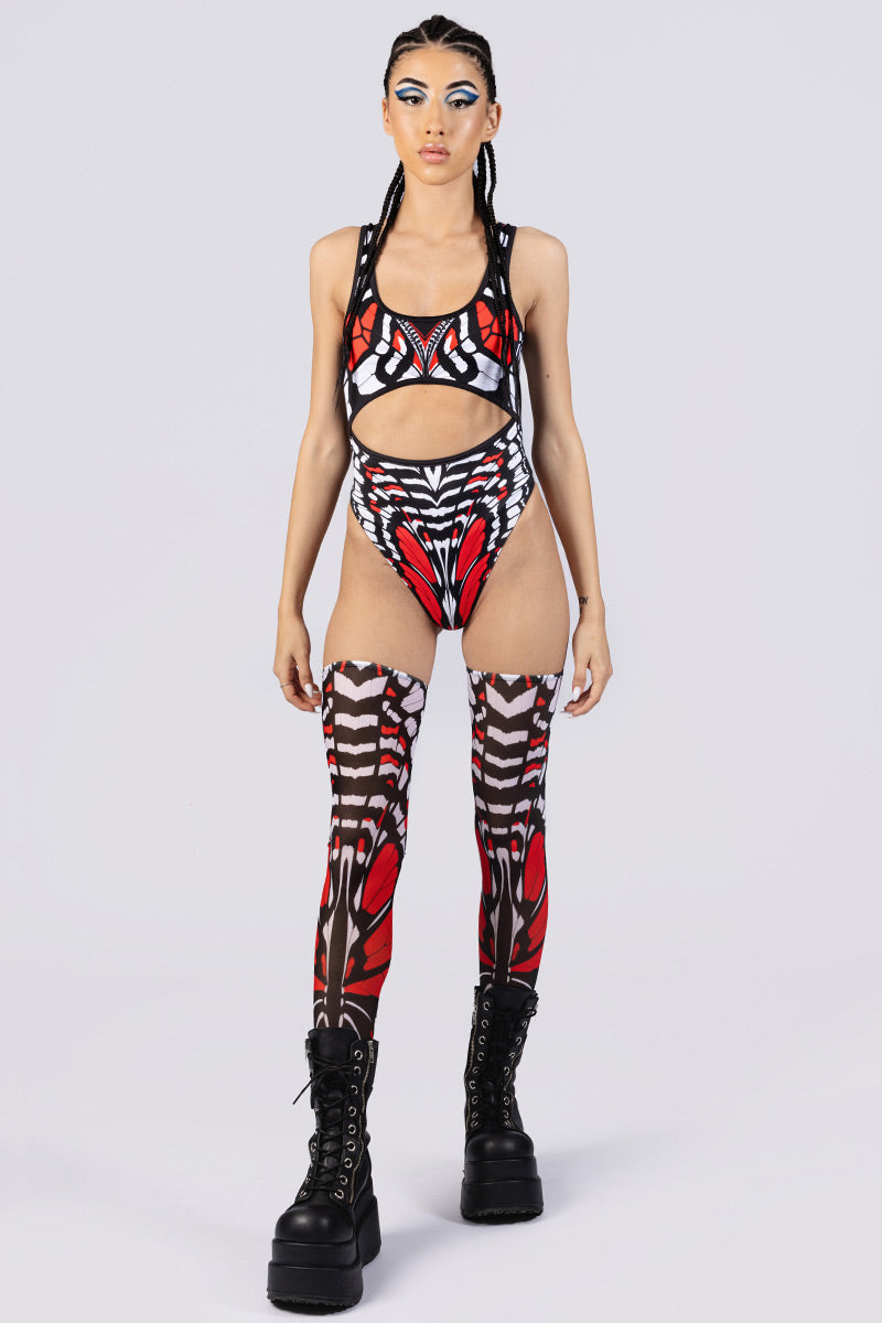 scarlet-widow-wings-front-view